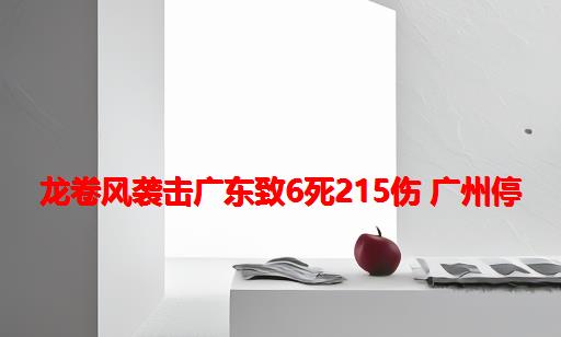 龙卷风袭击广东致6死215伤 广州停